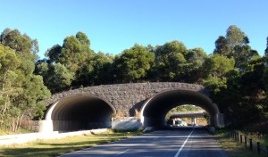 Overpass near Brunswick Heads