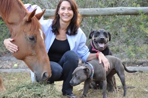Sam with Fry and dogs